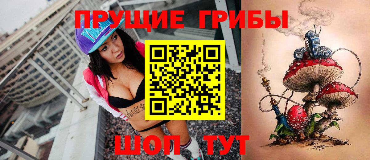 Галлюциногенные грибы Magic Shrooms  Вход с VPN  Краснокамск  продажа наркотиков  Галлюциногенные грибы GOLDEN TEACHER 